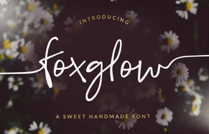 Foxglow Font