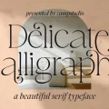 Delicate Calligraphy Font